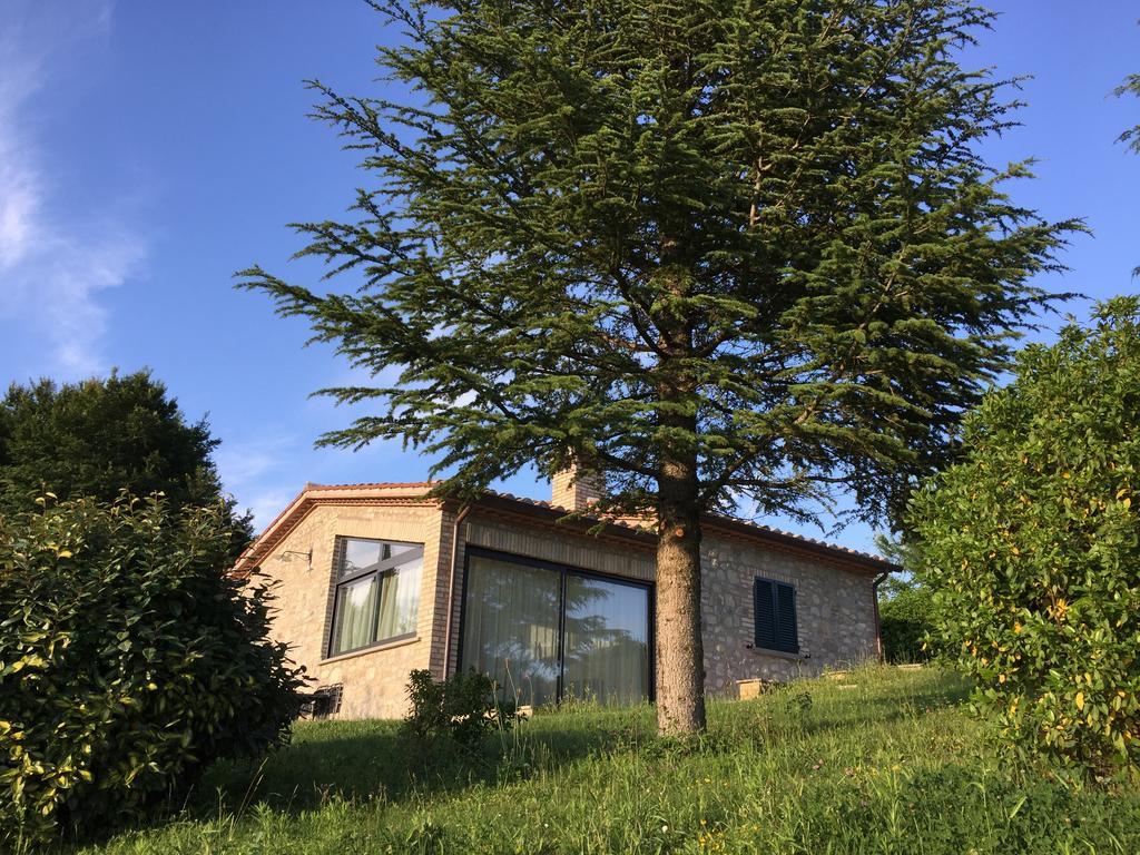 Вилла Agricola Caicucci Монтоне Номер фото
